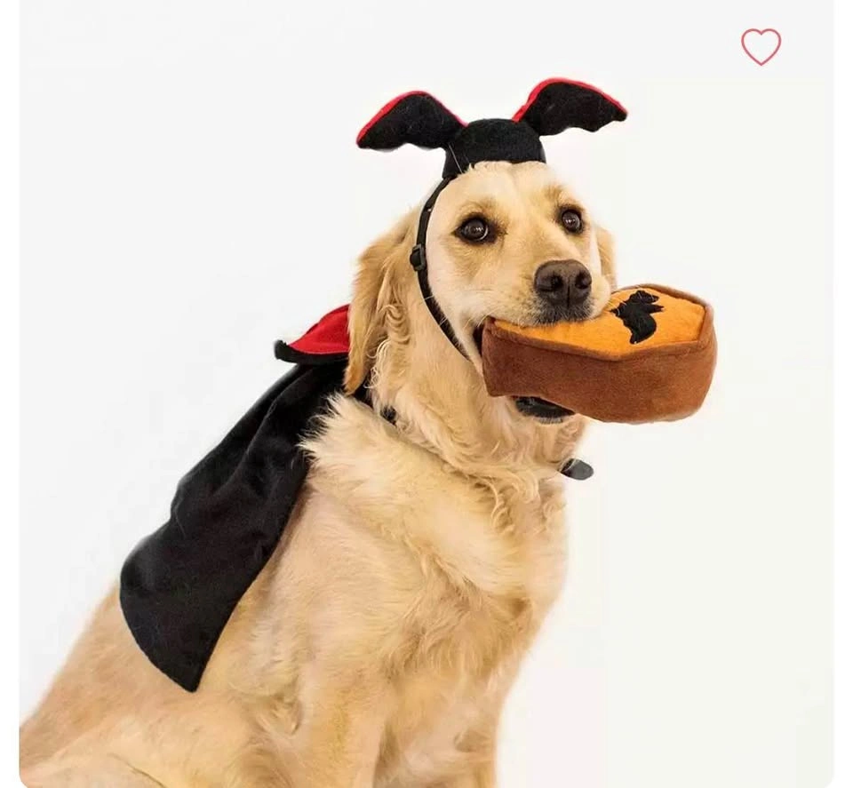 Zippy Paws Dog Dracula Costume Kit