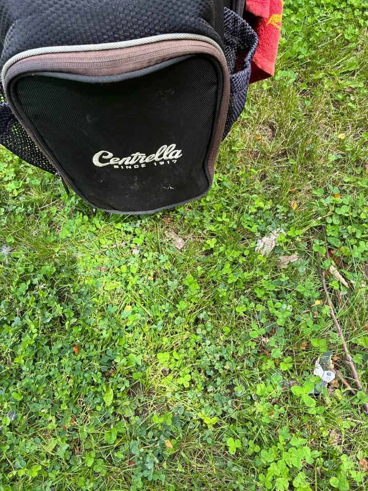 Nike golf bag with various golf clubs - photo 5