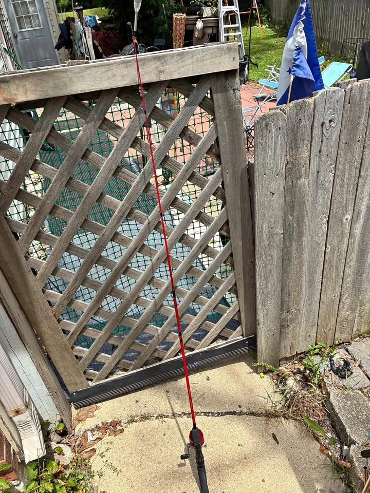 Fishing rod