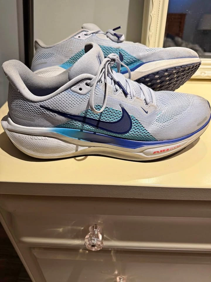 Nike Air Pegasus 41- Men’s size 10