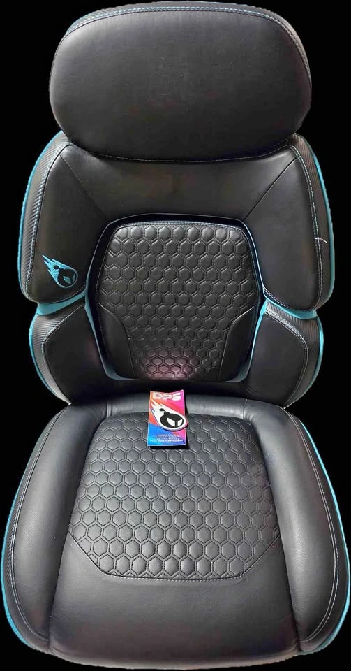 DPS Gaming Chair with Adjustable Headrest Lumbar Support