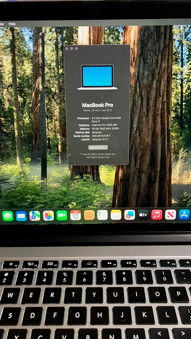 MacBook Pro 15-inch Retina, 16 GB, 256 GB - photo 2
