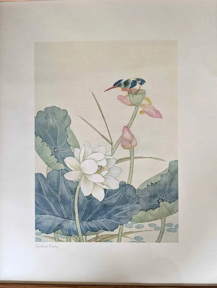 Paintings