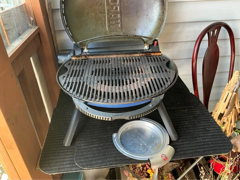 NAPOLEON PORTABLE BBQ BEAUTIFUL BLUE - photo 5