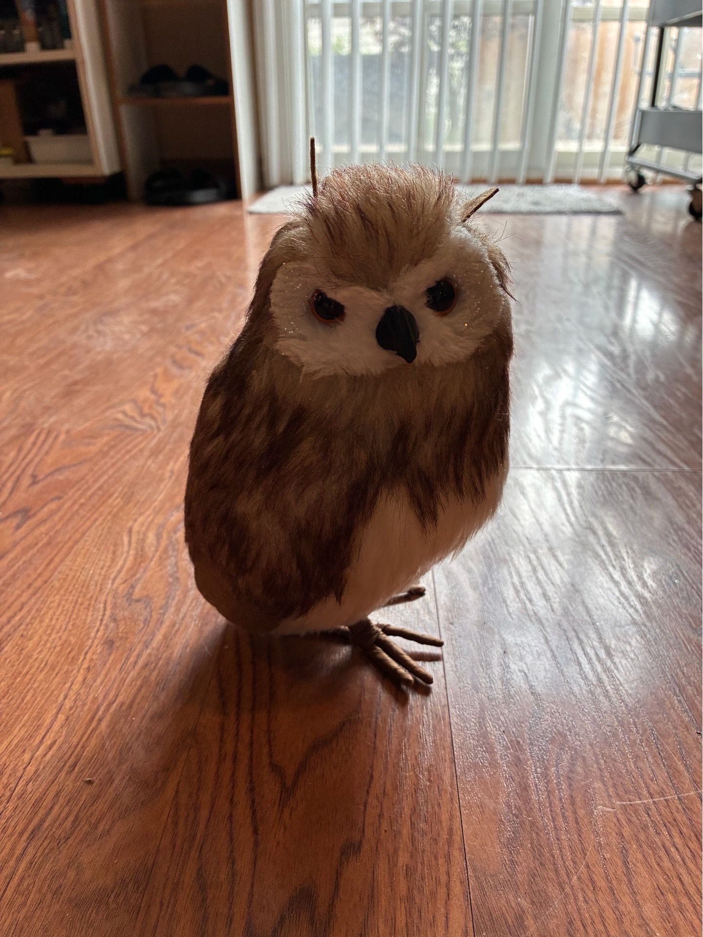 Super Cute Owl Figurine - photo 2