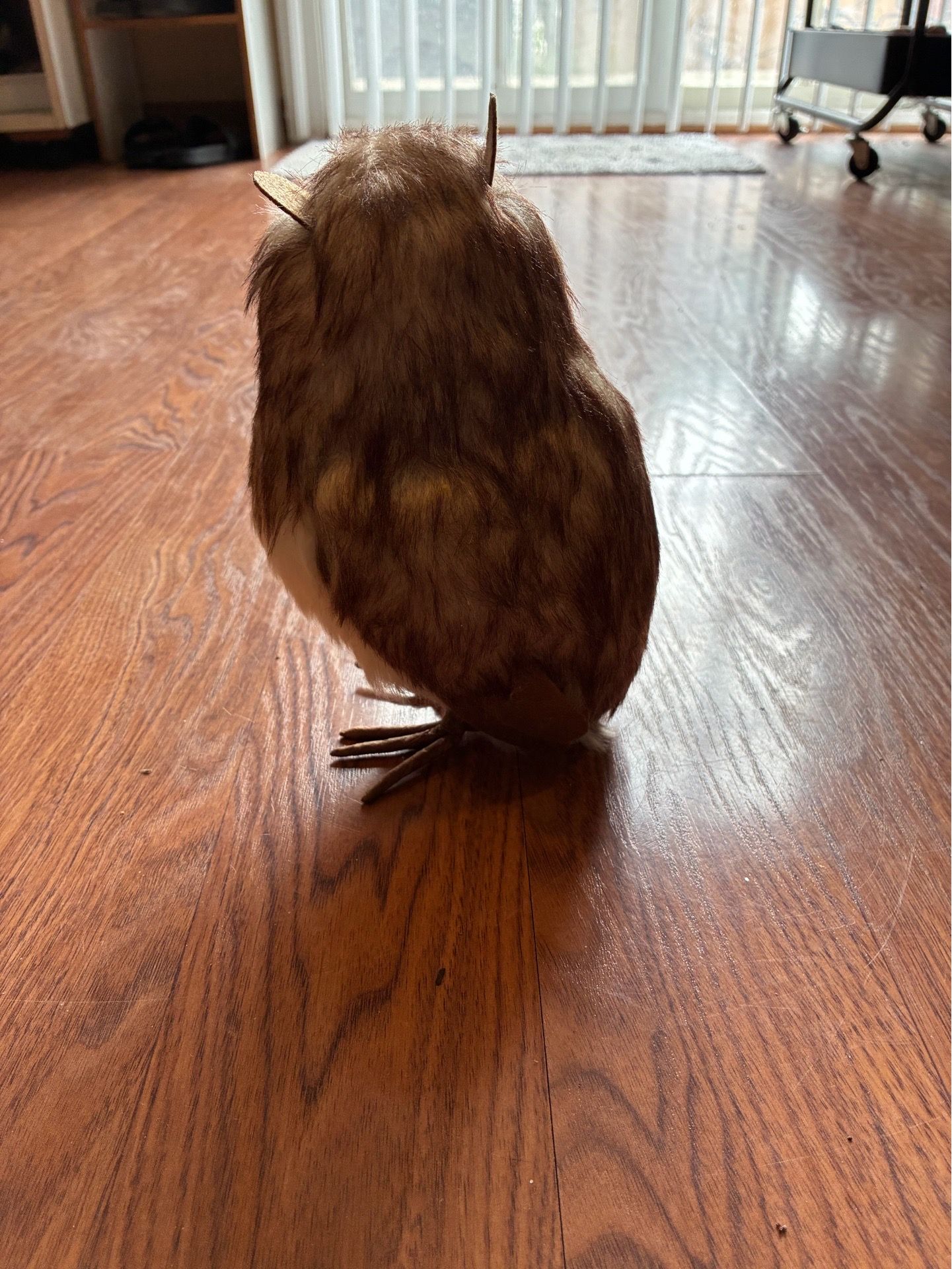 Super Cute Owl Figurine - photo 4
