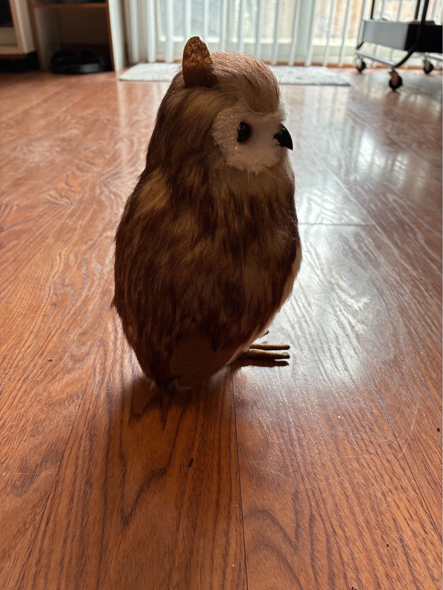 Super Cute Owl Figurine - photo 5