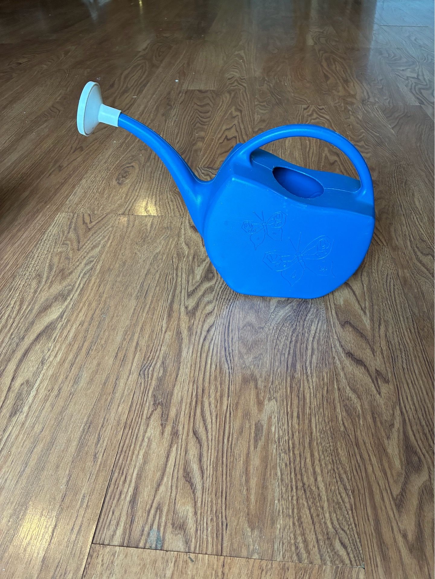 Blue Plastic Watering Can