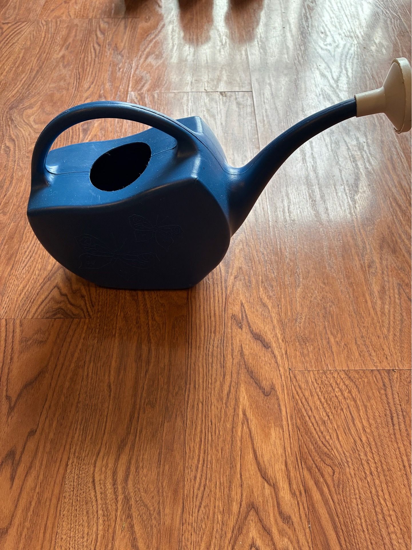 Blue Plastic Watering Can - photo 2