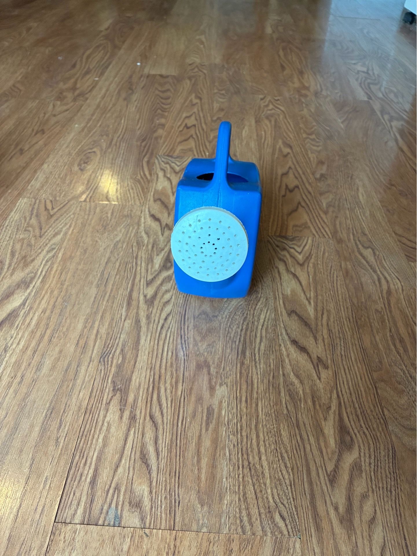 Blue Plastic Watering Can - photo 3