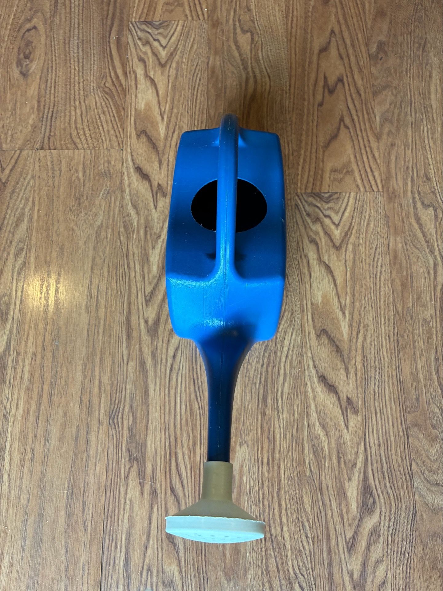 Blue Plastic Watering Can - photo 4