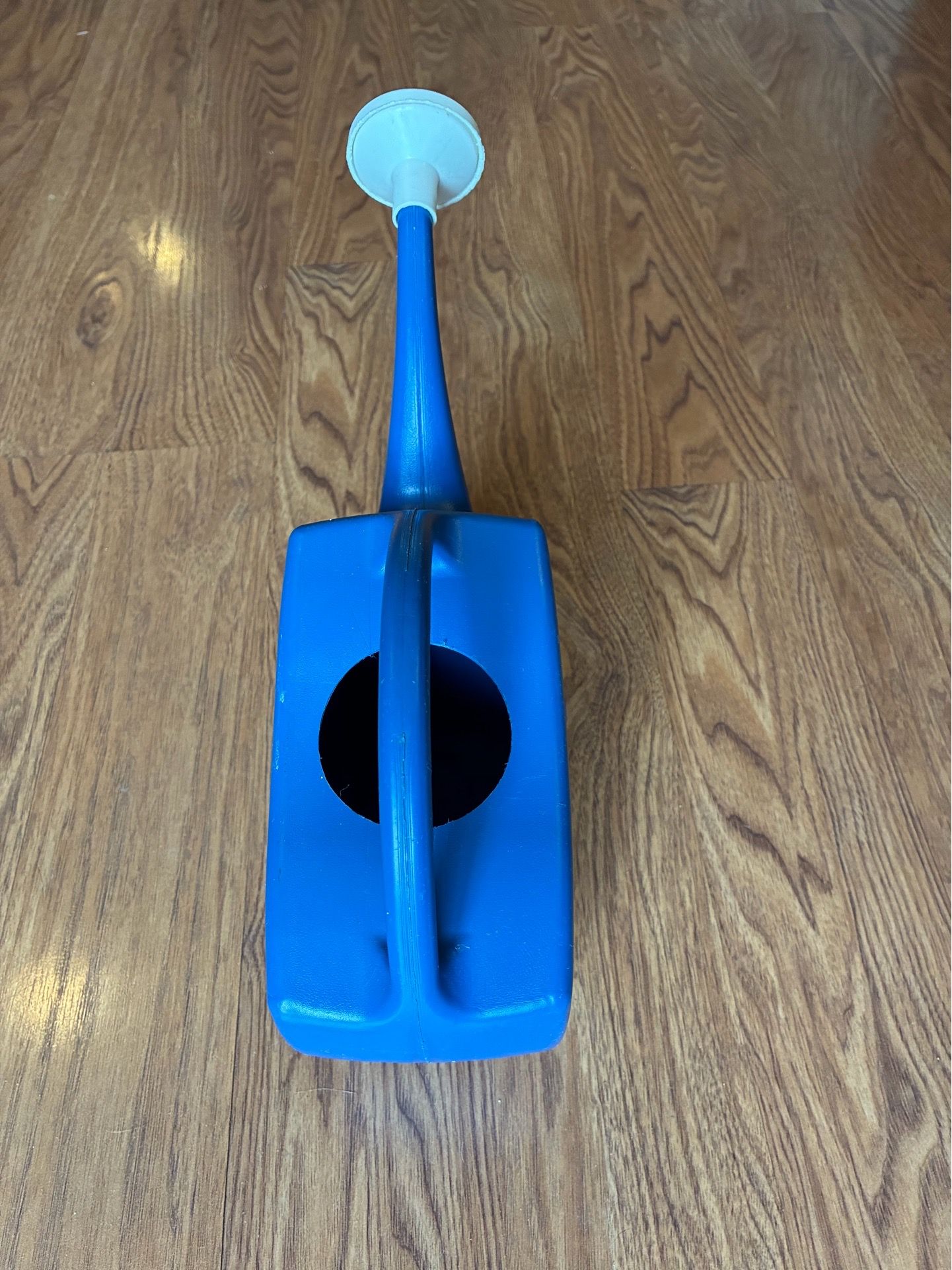 Blue Plastic Watering Can - photo 5