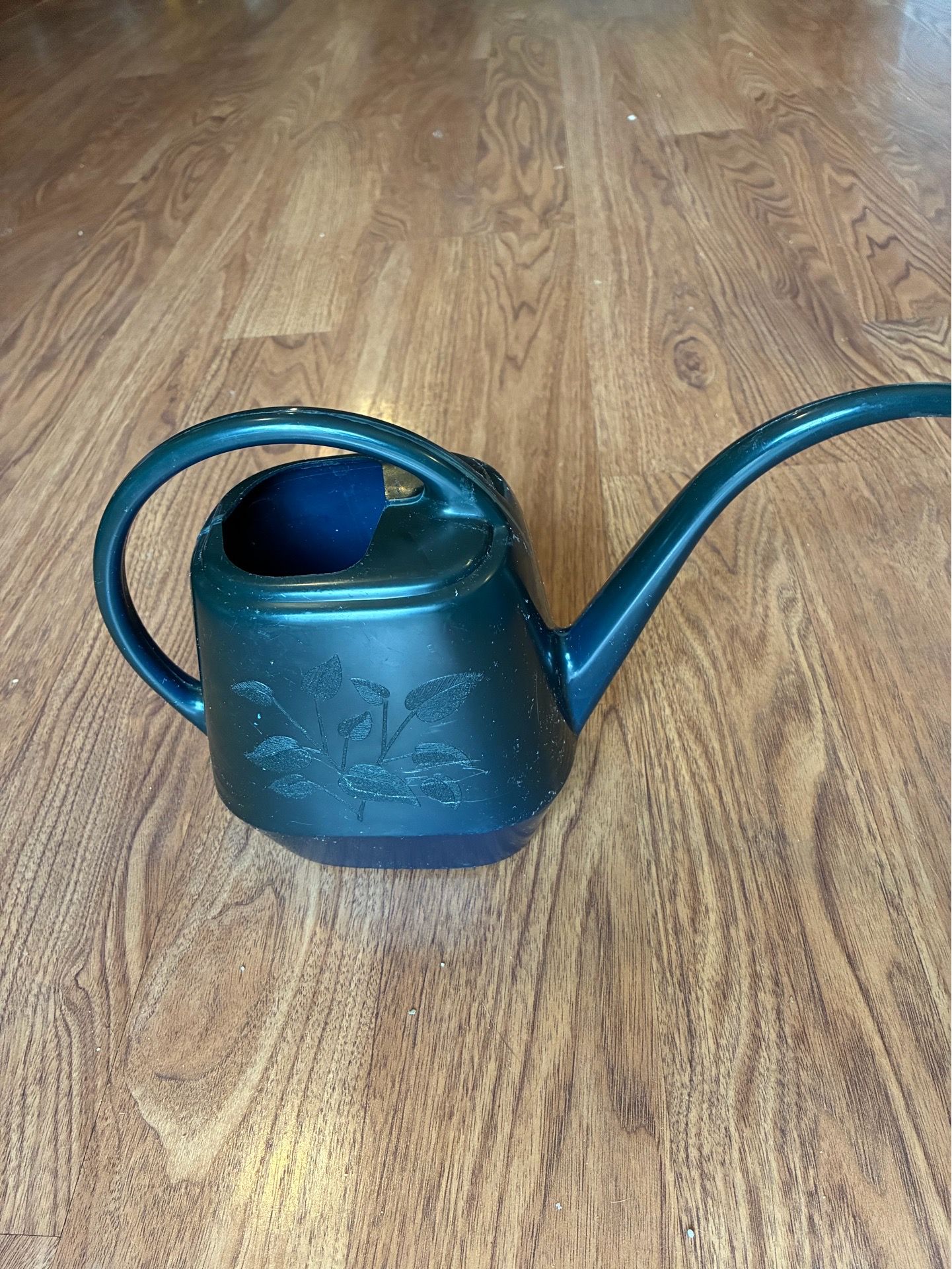 Green Plastic Watering Can