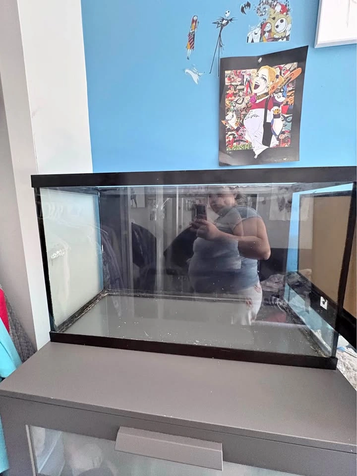 Reptile or small animal tank/ terrarium