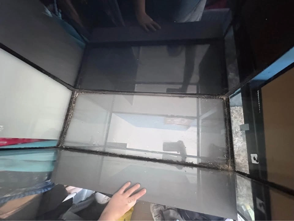 Reptile or small animal tank/ terrarium - photo 3