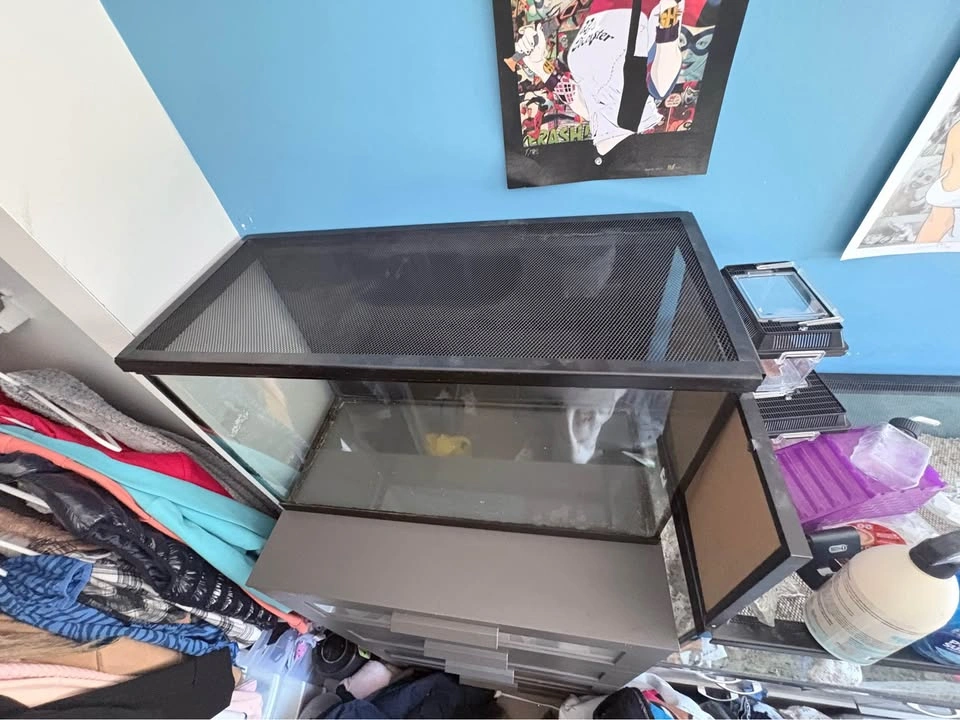 Reptile or small animal tank/ terrarium - photo 5