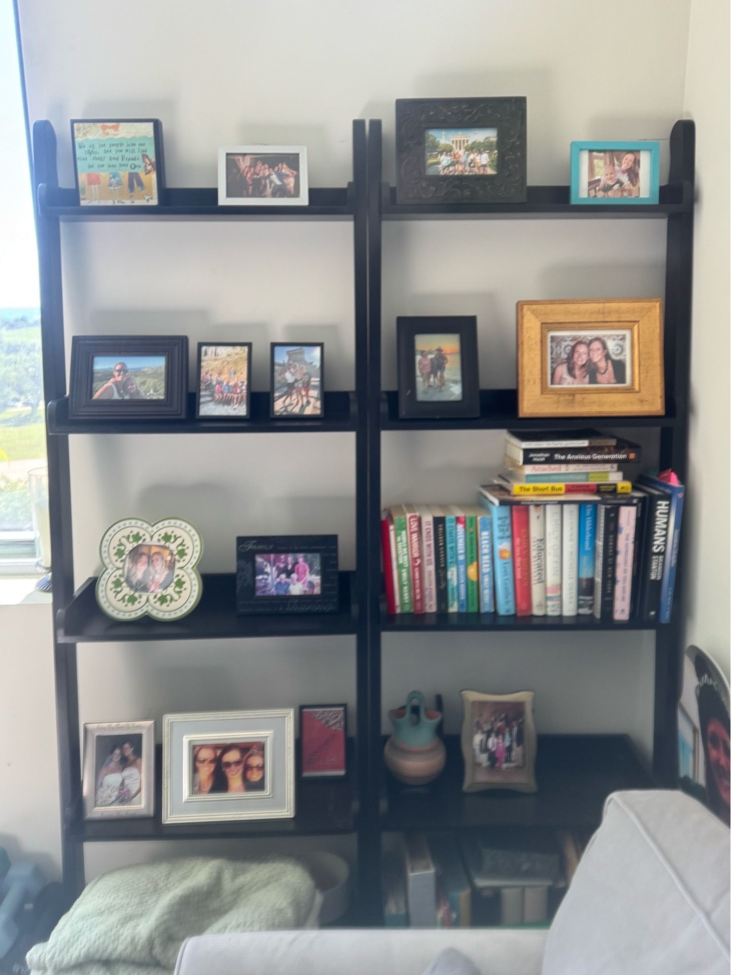 Crate and Barrel Sloane Ladder Bookcase