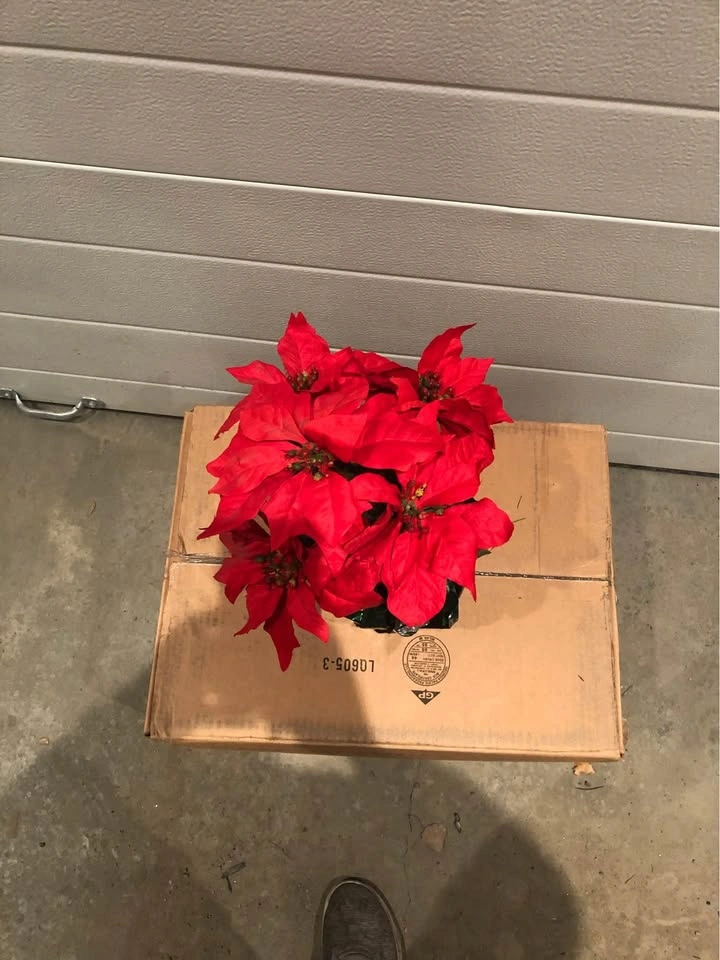 Potted Christmas Decor Artificial Poinsettia Flower plant - photo 4