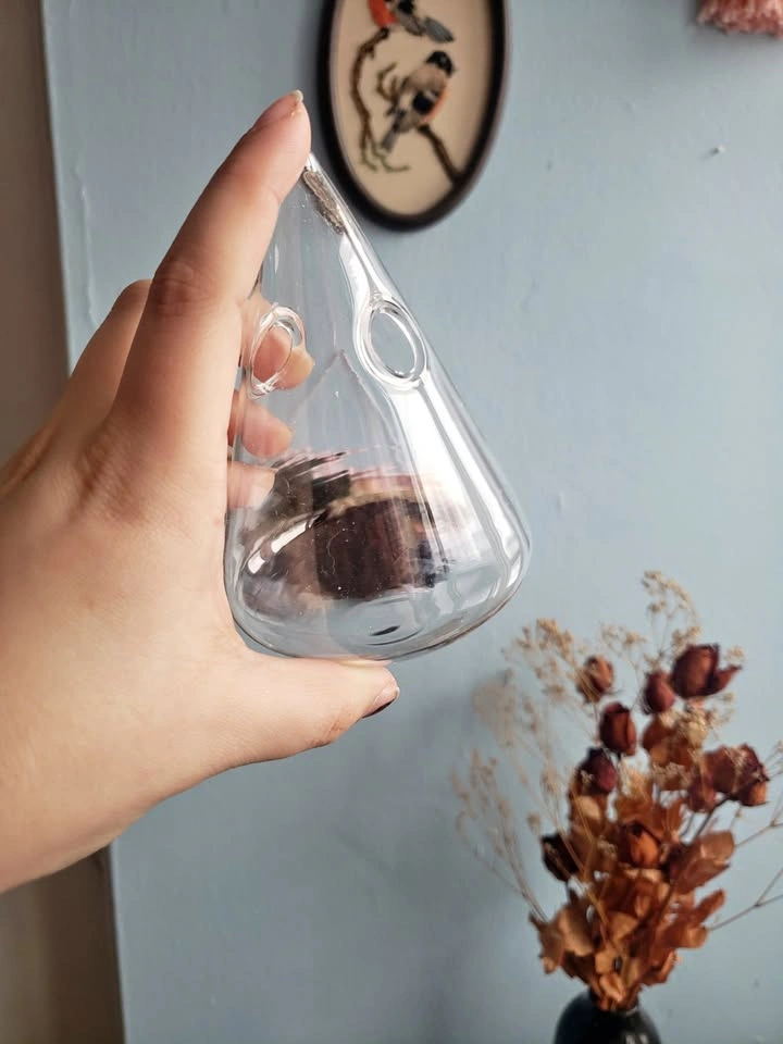 three glass triangle terrarium