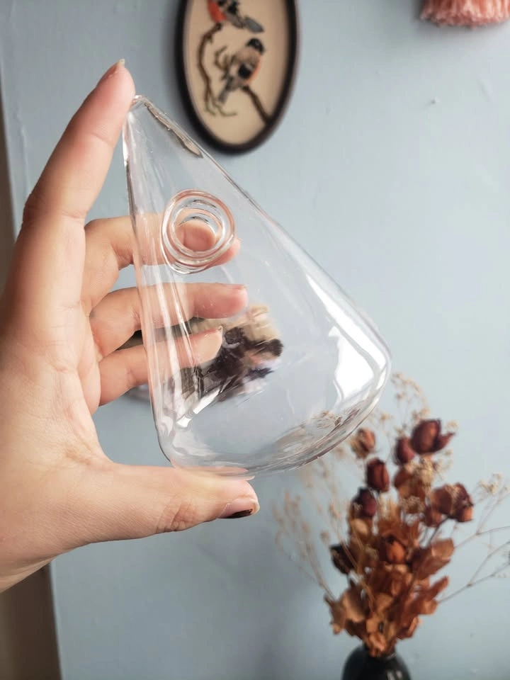 three glass triangle terrarium - photo 4