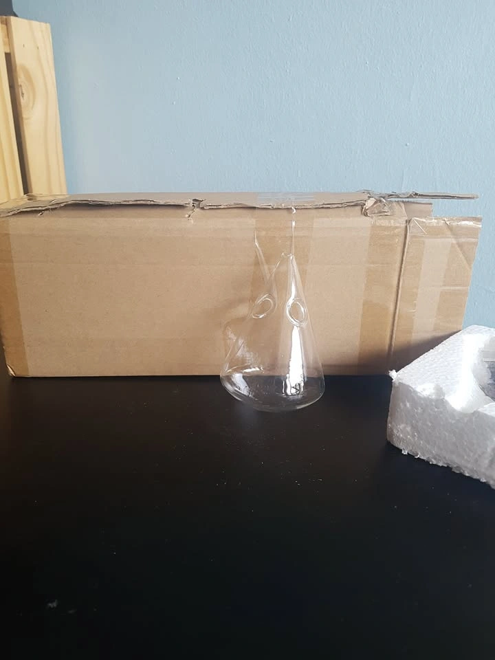 three glass triangle terrarium - photo 5