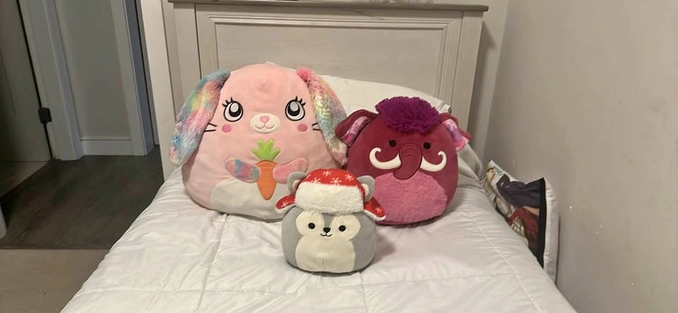 🧸 Squishmallows for Sale – Individual or Bundle!