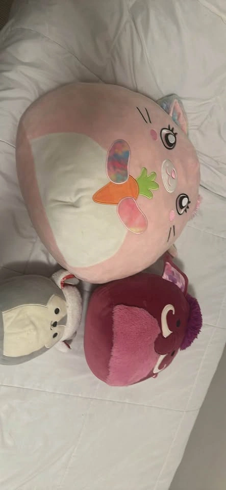 🧸 Squishmallows for Sale – Individual or Bundle! - photo 3