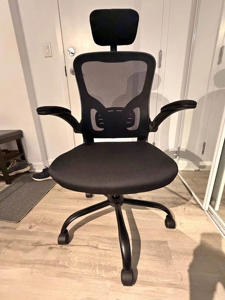 Ergonomic Office Chair with adjustable headrest and lumbar suppo