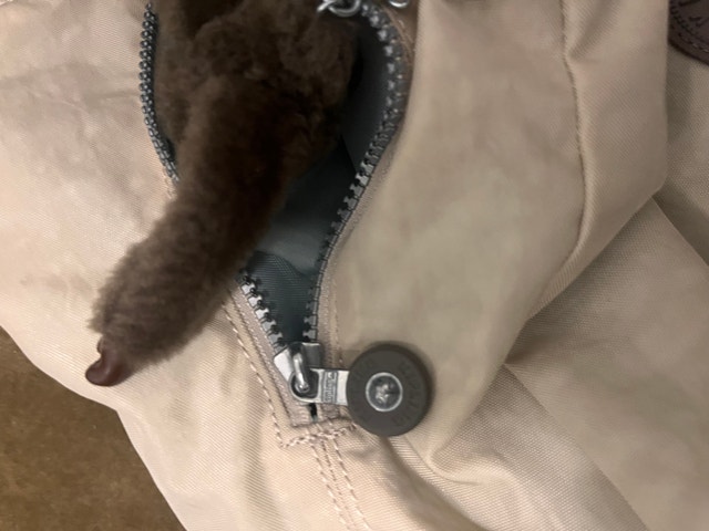 Kipling Shoulder Bag - photo 2