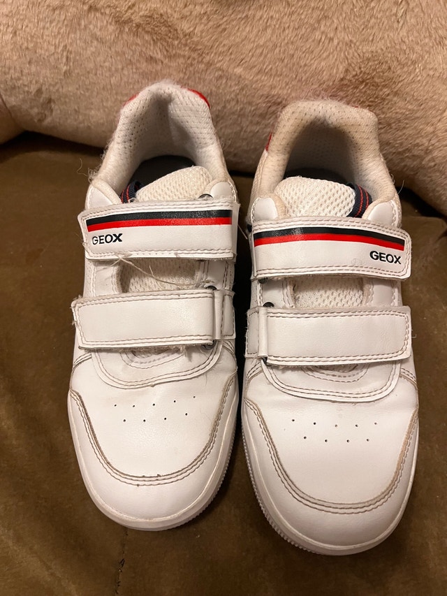 Geox Shoes