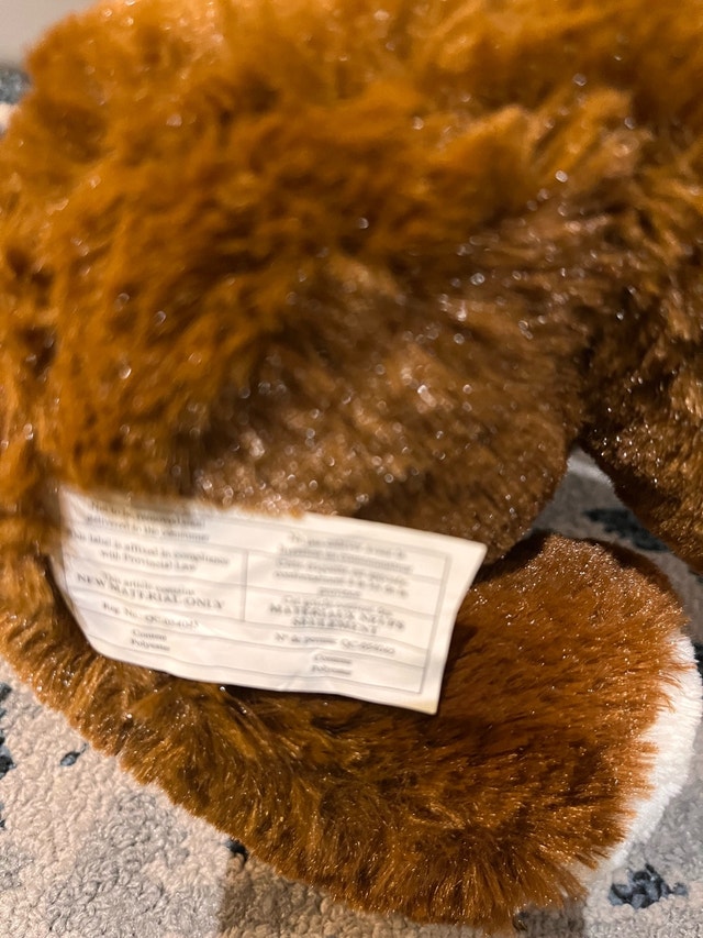 Graduation Bear - photo 2