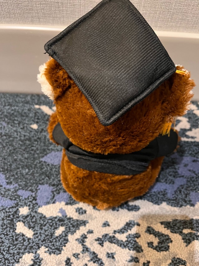Graduation Bear - photo 3