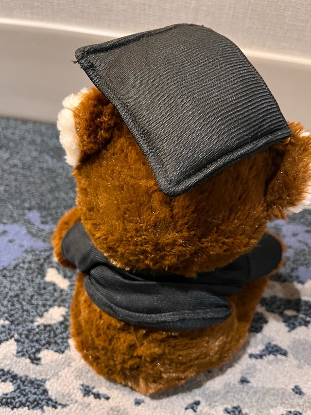 Graduation Bear - photo 4