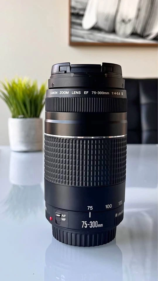 📸Canon EF 75-300mm 1:4-5.6 III Zoom Lens