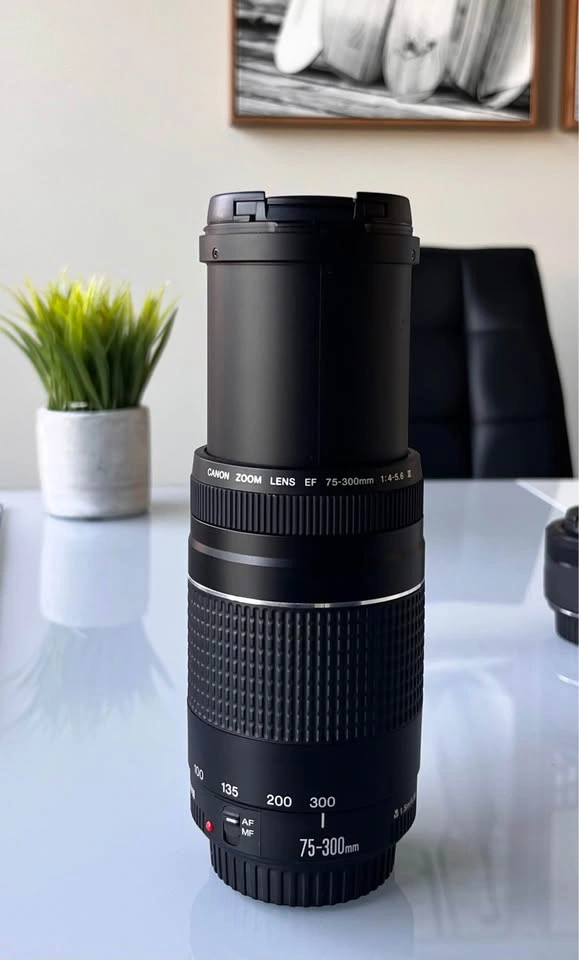 📸Canon EF 75-300mm 1:4-5.6 III Zoom Lens - photo 4