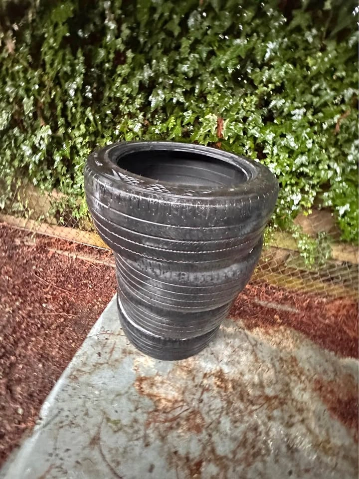Tesla tire