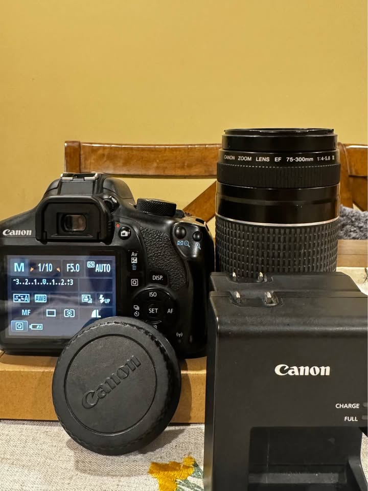 Canon Rebel T6 - photo 2