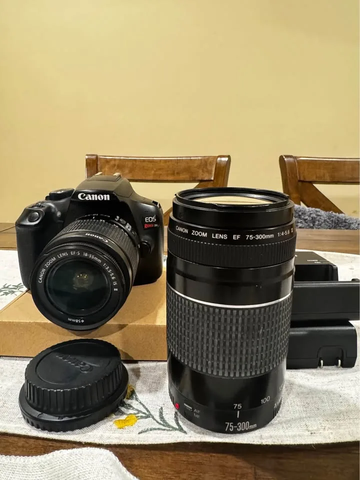 Canon Rebel T6 image indicator(3)