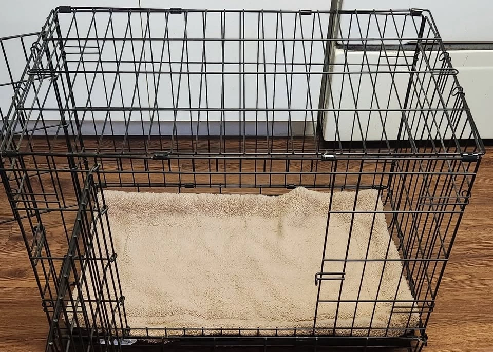 30" Wire Dog Crate with Tray & Bed - photo 2