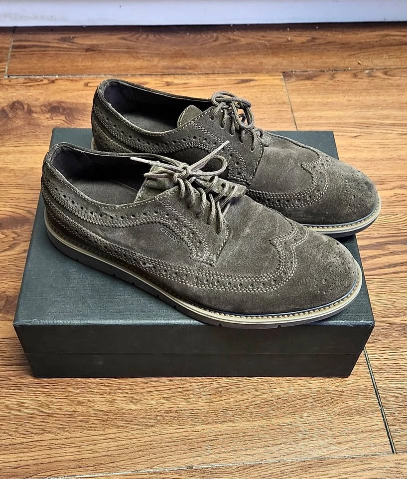 Geox Respira - Oxford Shoes - Size 41 EU