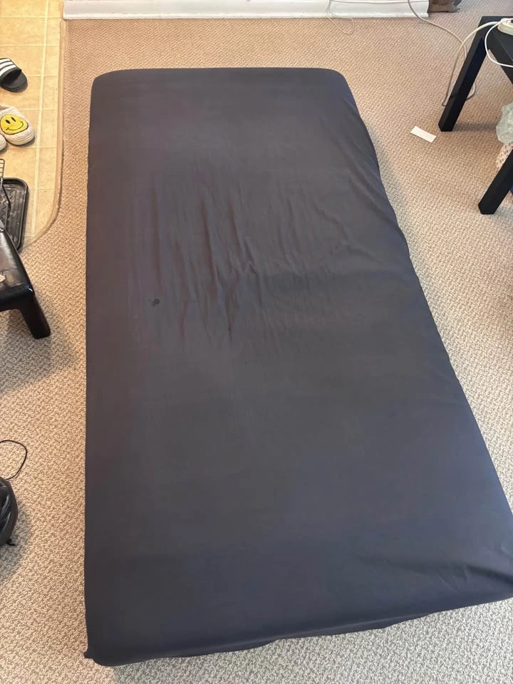 Moving Sale - Twin Bed Frame and Twin Mattress - photo 3