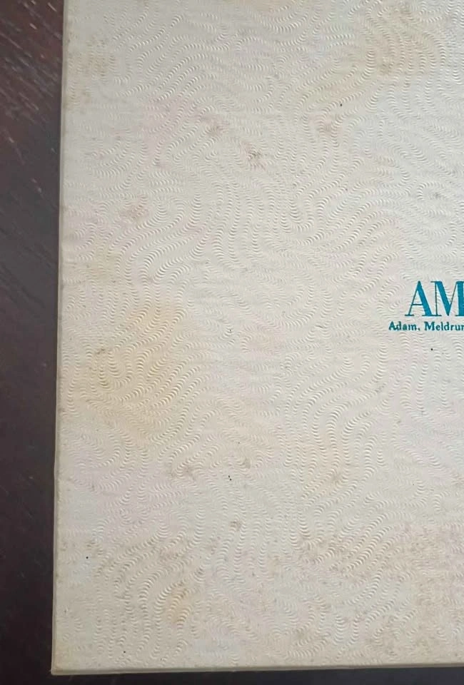 AM&A'S Vintage Jewelry Gift Box Buffalo Collectible Early 80's - photo 2