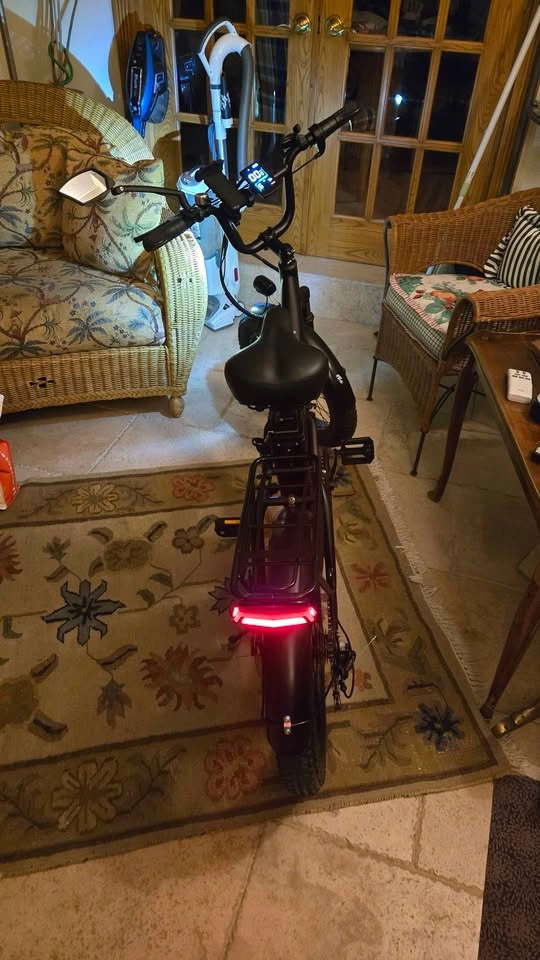 Fat Tire Electric Bike - photo 3