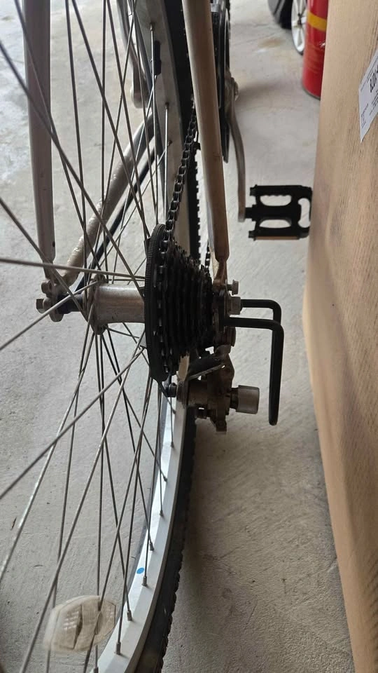 2 LandRider AutoShift Bikes — $249 for both - photo 2