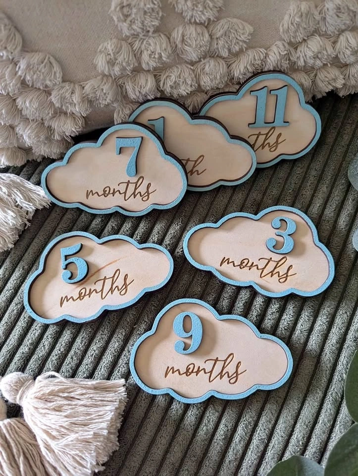 Monthly milestones photo props
