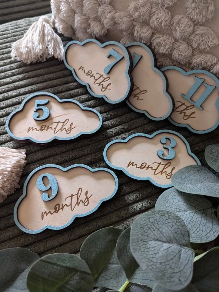 Monthly milestones photo props - photo 5