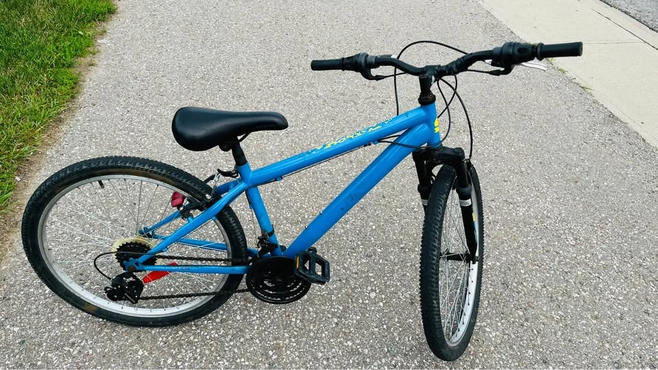 Bicycle - 24” - photo 4