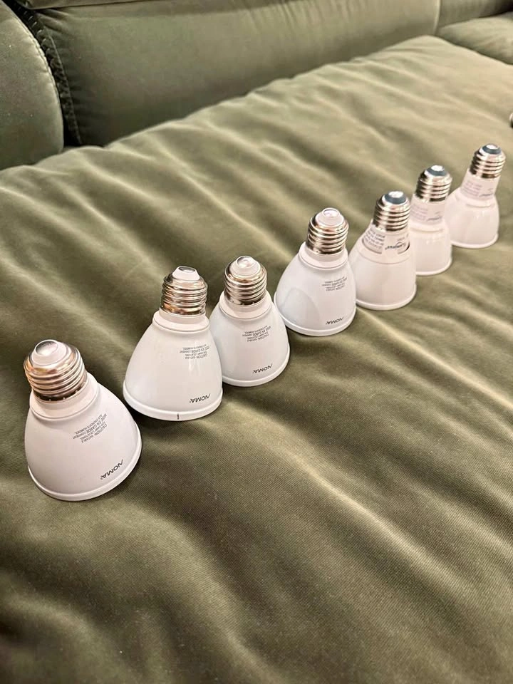 LED Light bulbs