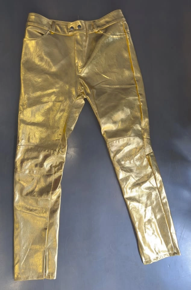 Men's Gold Metallic Pants, Costume, Performance Wear (32x40")