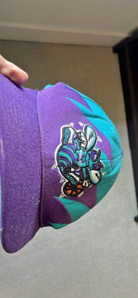 Charlotte hornets adjustable hat